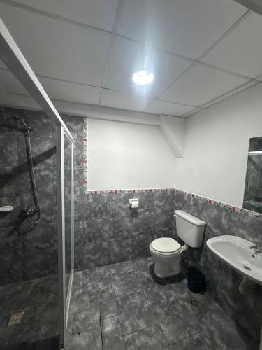 a bathroom with a shower and a toilet and a sink at Hotel Norte in Río Tercero