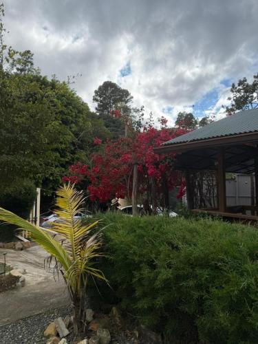a garden with red bushes and a building with a tree at Jarabacoa - Alma Verde Eco Stay - Estancia La Esperanza in Jarabacoa