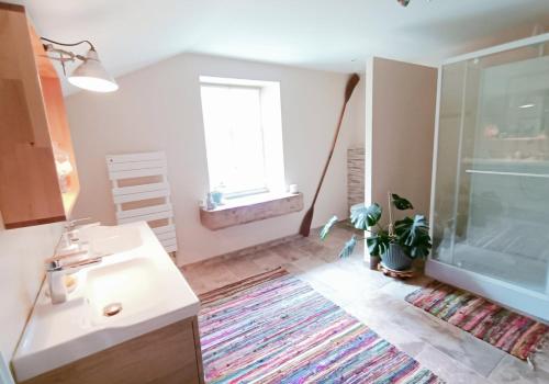 a bathroom with a sink and a shower and a window at Chambre d'hôtes Le Colibri in Épinal