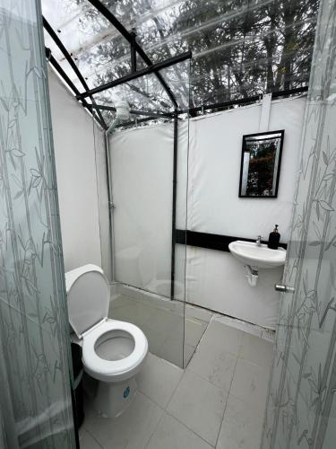 a bathroom with a toilet and a sink at DOMO Roca Glamping Suesca in Suesca
