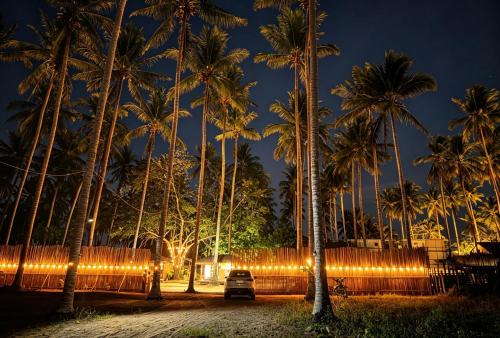a car parked in front of palm trees at night at Sirem Beach Resort in Puerto Princesa City