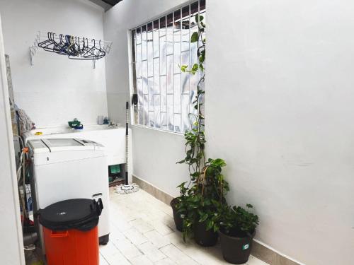 a kitchen with a sink and plants in a room at Casa Aire y Luz in Pereira
