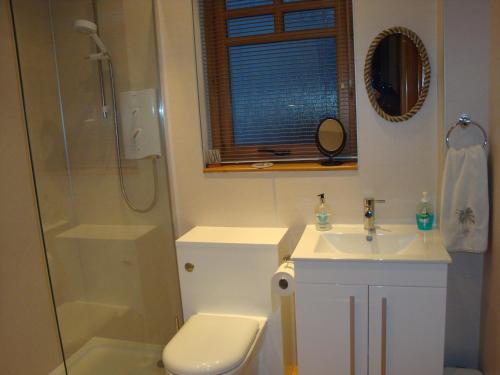 a bathroom with a toilet and a sink and a shower at Dullatur in Newtonmore