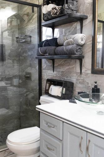 a bathroom with a shower and a toilet and a sink at Cozy Cottage in Woods