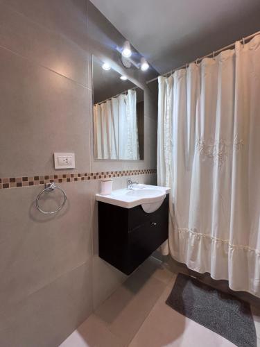a bathroom with a sink and a shower at Punta Flecha in Puerto Madryn