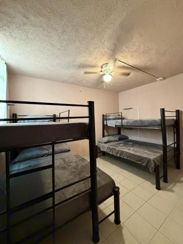 two bunk beds in a room with a ceiling at Hostal Punto Americana in Guadalajara