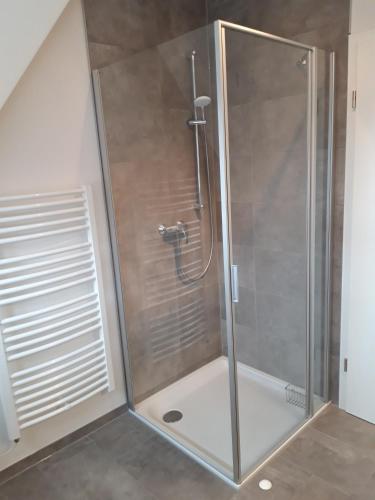 a shower with a glass door in a bathroom at Herrmanns-Ferienhaus Steigerwald in Schlüsselfeld