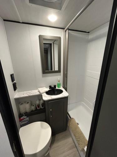 a bathroom with a sink and a toilet and a tub at The Bunkhouse Camper in Klamath