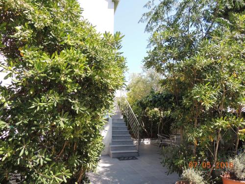 Κήπος έξω από το Apartments Suljic - Cash Only Property