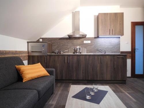 a living room with a couch and a kitchen at TaTanKa apartments in Batizovce