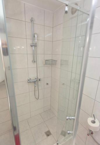 a bathroom with a shower with a glass door at Apartman Nick in Mlini