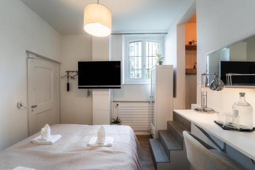 Micro Loft in Prime Zurich City Lake Business