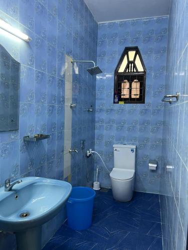 a blue bathroom with a toilet and a sink at Johasham Villa in Colombo