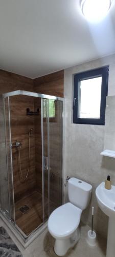 a bathroom with a shower and a toilet and a sink at Iskra Tiny House in Podgorica