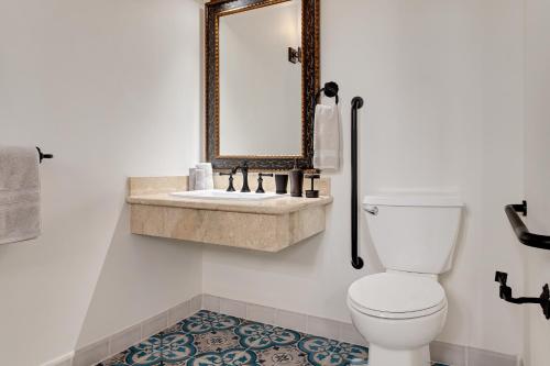 a bathroom with a sink and a toilet and a mirror at El Lugar Hotel & Nature Reserve Costa Rica in Tigre