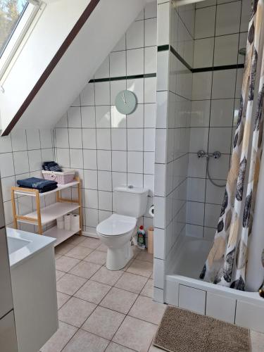 a bathroom with a toilet and a shower at Powrócisz tu... in Sorkwity