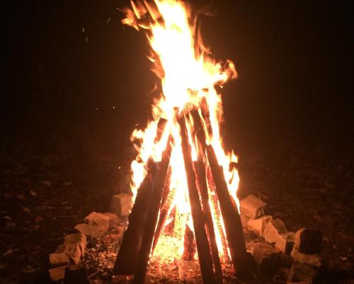 a bonfire is lit up at night at Zabola Estate - Transylvania in Zăbala