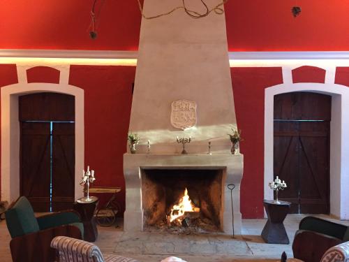 a fireplace in a room with red walls at Zabola Estate - Transylvania in Zăbala