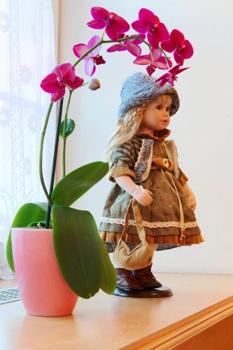 a doll in a dress and hat next to a plant at Hotel Alpsu in Disentis
