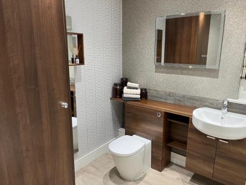 a bathroom with a toilet and a sink at BAE SUITE 5 min walk to bae systems in Barrow in Furness