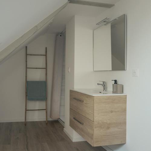 a bathroom with a sink and a mirror at Logis Hotel Domaine de la Bohème chez Delphine Wespiser in Wahlbach