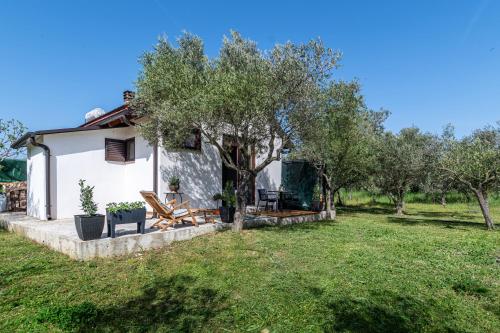 TrioBio - New Apartment for Two with Private Terrace, Garden & Parking