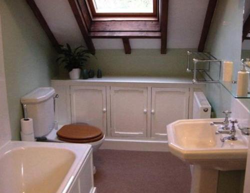 een badkamer met een toilet en een wastafel bij Skip To The Zipwire in Bethesda