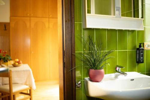 a bathroom with a sink and a potted plant at Residence Gerold in Rablà
