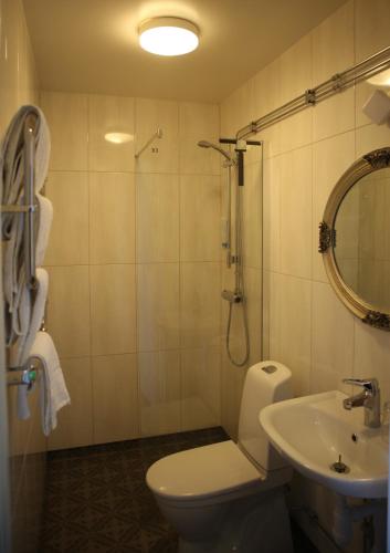 ein Badezimmer mit Toilette, Dusche und Waschbecken in der Unterkunft Centralhotellet Söderhamn in Söderhamn