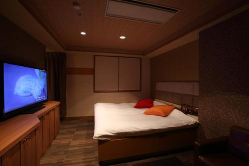 a bedroom with a bed and a flat screen tv at Hotel Water Gate Tajimi in Tajimi