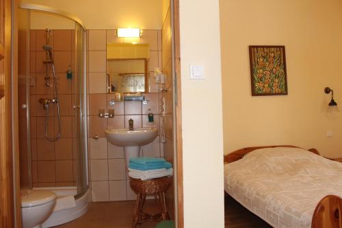 a bathroom with a sink and a shower next to a bed at Pensjonat EL-TAN - nocleg na wsi z WI-FI bez TV in Złoty Stok