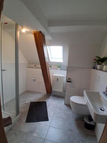 a bathroom with a toilet and a sink at Ferienanlage - Am Moselufer in Kövenig