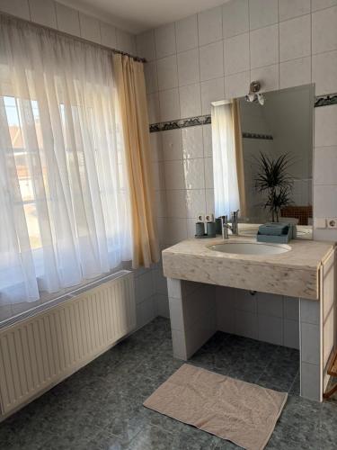 a bathroom with a sink and a mirror at Haus Erika in Gamlitz