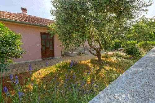 Studio Valter in Rovinj