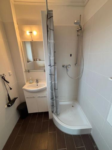 a bathroom with a shower and a sink at Leuchtturm 1 in Fehmarn