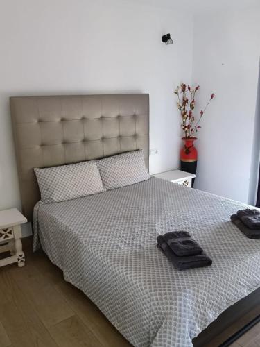 Apartamentos Jesús Díaz Coblanca