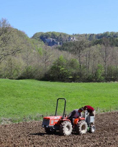 a person on a tractor in a field at Agriturismo Vezzano in Chiusi della Verna