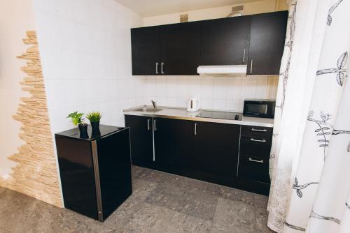 - une petite cuisine avec des placards noirs et un évier dans l'établissement Apartment on Popova 15, à Iekaterinbourg