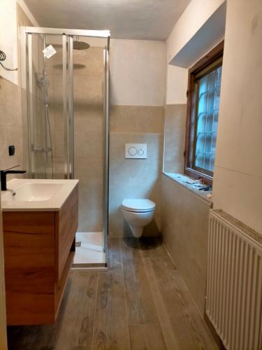 a bathroom with a toilet and a shower and a sink at La Quiete in Ponte Caffaro