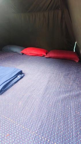a bed with two red pillows on top of it at Koodaram Camping Munnar in Munnar
