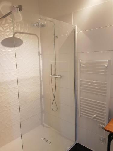 a shower with a glass door in a bathroom at Le Studio 3 - Route des vins in Rorschwihr
