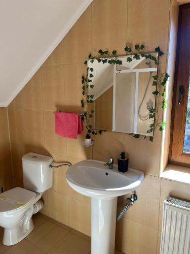 a bathroom with a sink and a toilet and a mirror at Casa di Panico in Buşteni