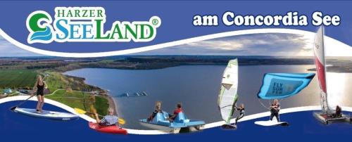 a group of people on windsurfing boats on a lake at Ferienhaus B1 Concordiasee in Friedrichsaue