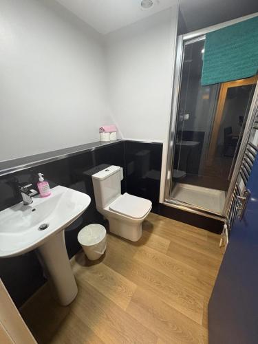 a bathroom with a toilet and a sink and a shower at Cunninghame 3 in Beith