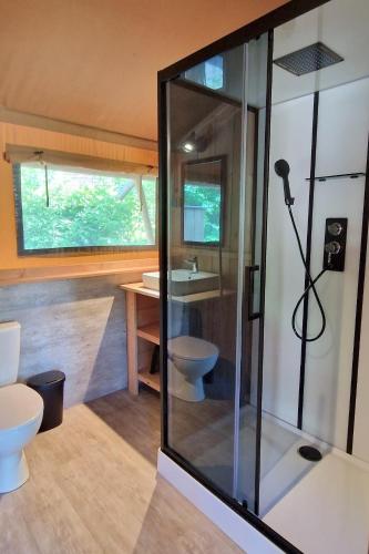 a bathroom with a shower and a toilet and a sink at Glamping Drouwenerzand in Drouwen