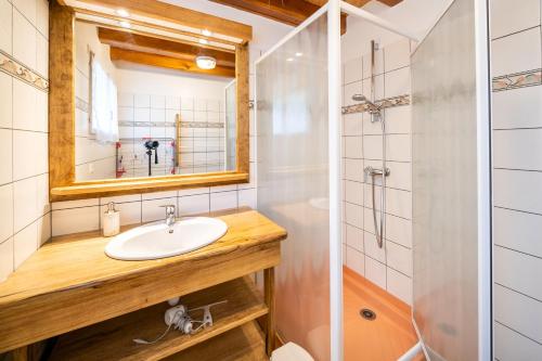 a bathroom with a sink and a shower at Gite Fontaine in Le Soulié