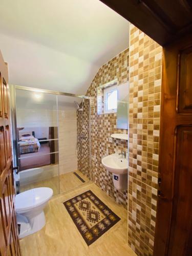 a bathroom with a toilet and a sink at Pensiunea Casa Mariuca in Văleni