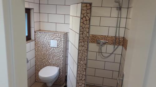 a bathroom with a toilet and a shower at Ferienhaus 8 in Ahrbrück