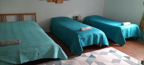 two beds with green sheets in a room at Les Gites Audrain in Plussulien
