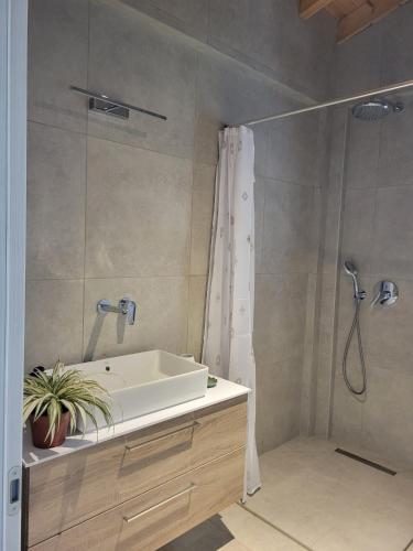 a bathroom with a shower and a sink and a tub at Forest and Sea view villas in Samothraki